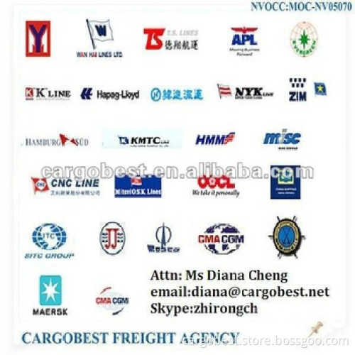 Shipping Containers from SHANGHAI/Shenzhen/Ningbo to Africa and Worldwide Ports-DIANA